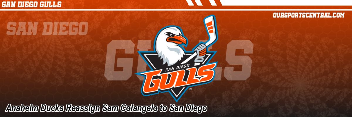 Anaheim Ducks Reassign Sam Colangelo to San Diego