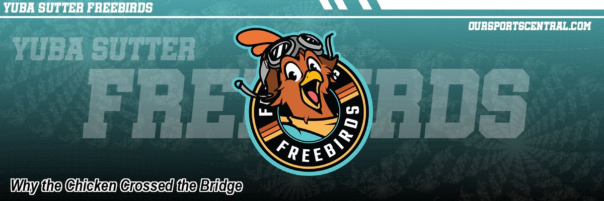 Why the Chicken Crossed the Bridge