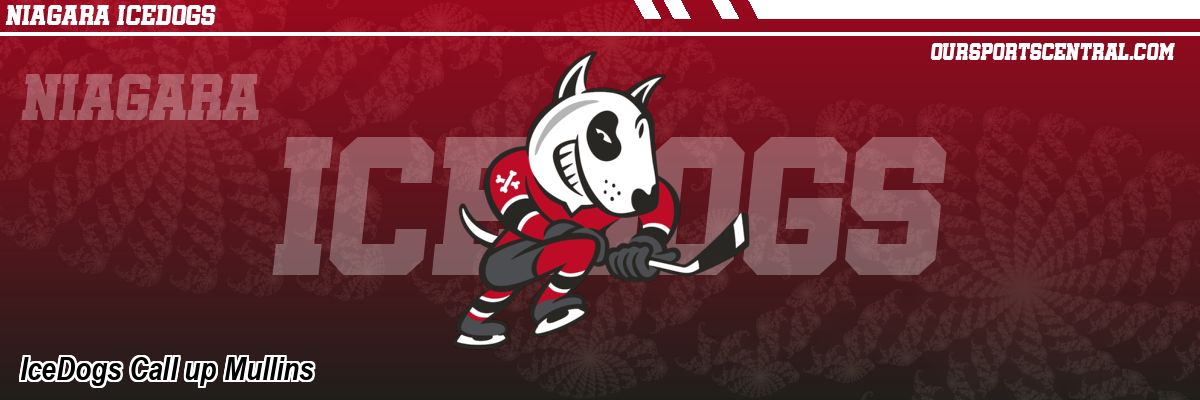 IceDogs Call up Mullins