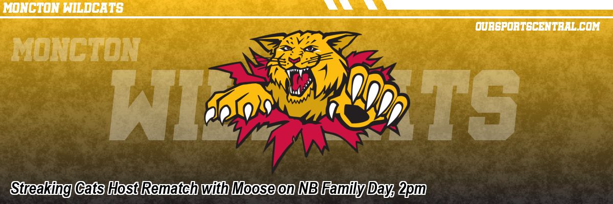 Streaking Cats Host Rematch with Moose on NB Family Day, 2pm