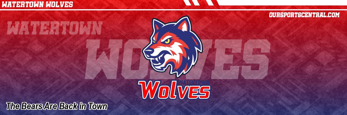 The Bears Are Back in Town