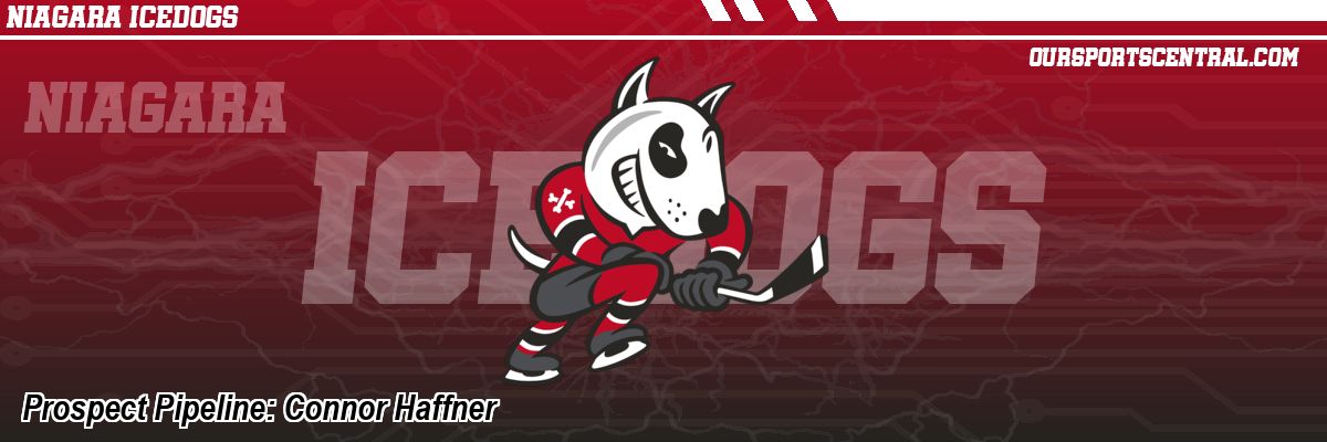 Prospect Pipeline: Connor Haffner