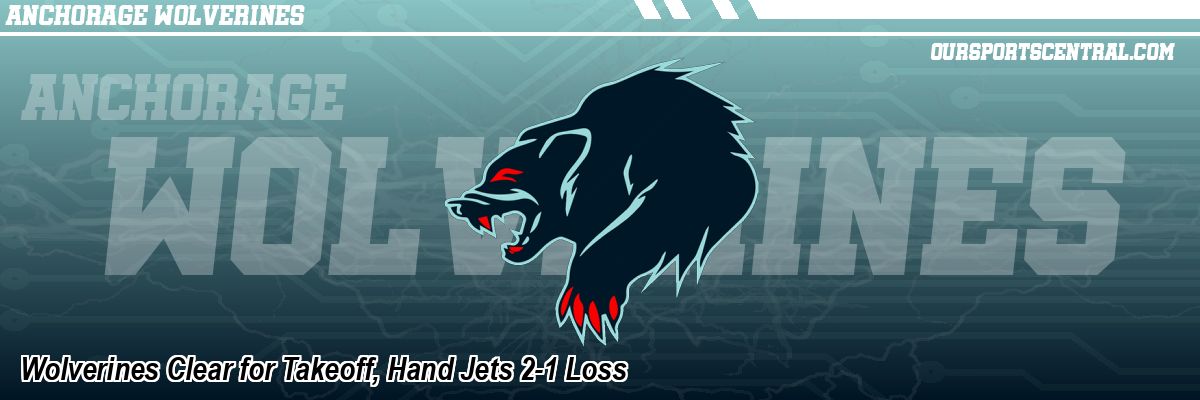 Wolverines Clear for Takeoff, Hand Jets 2-1 Loss