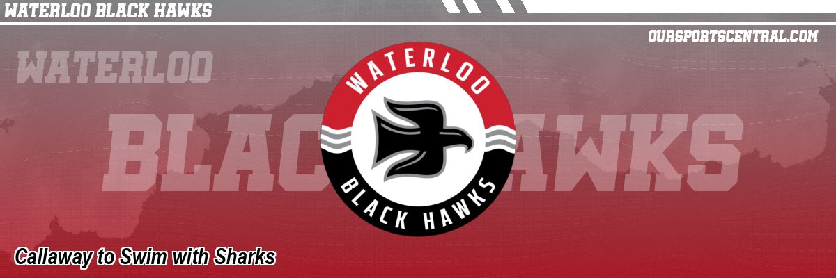 Callaway to Swim with Sharks