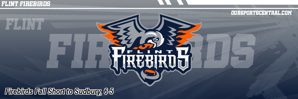Firebirds Fall Short to Sudbury, 6-5