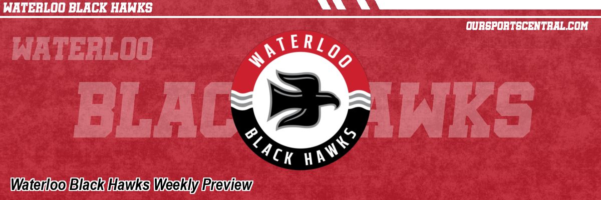 Waterloo Black Hawks Weekly Preview