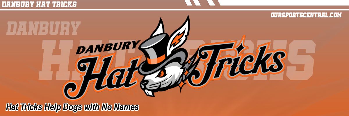 Hat Tricks Help Dogs with No Names