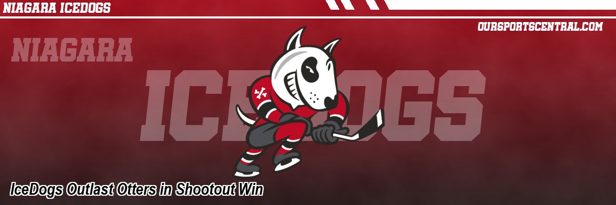 IceDogs Outlast Otters in Shootout Win