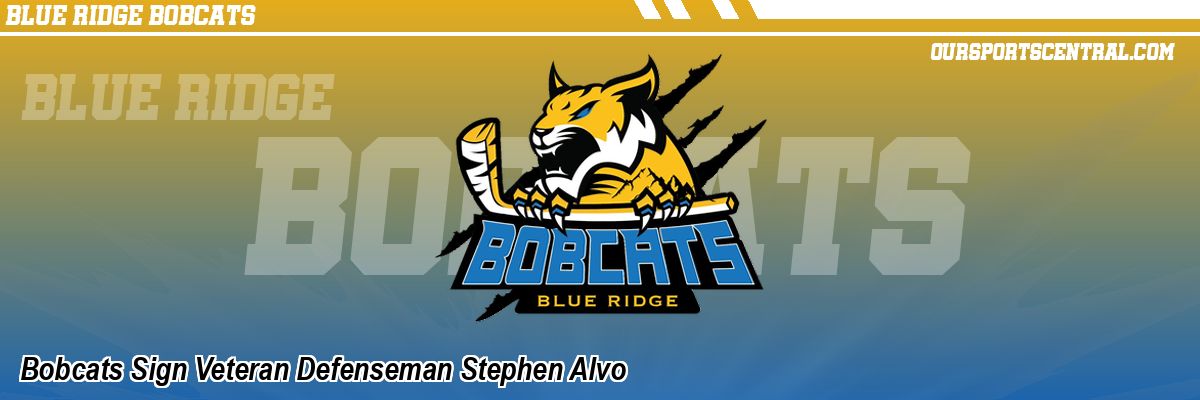 Bobcats Sign Veteran Defenseman Stephen Alvo