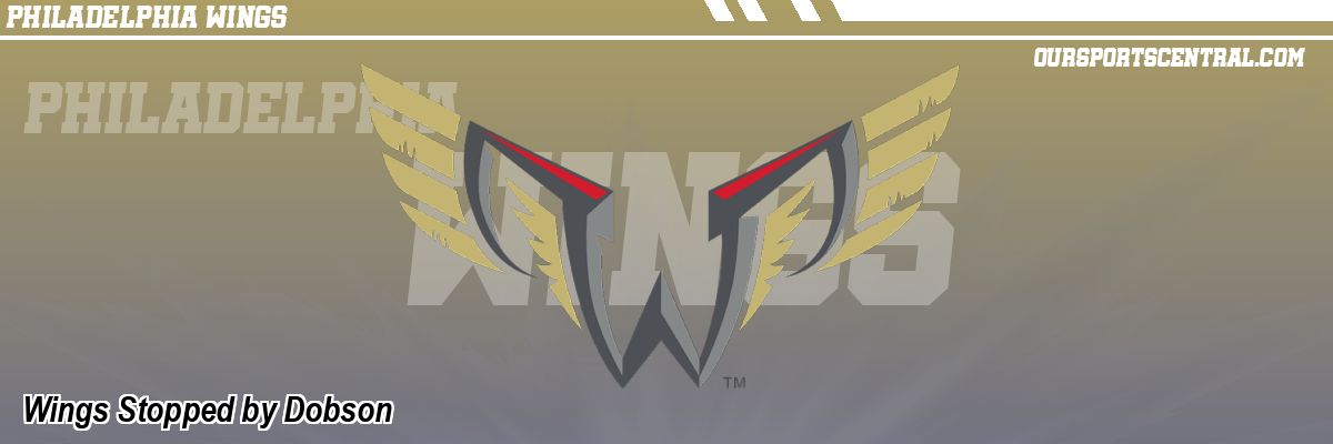 Wings Stopped by Dobson