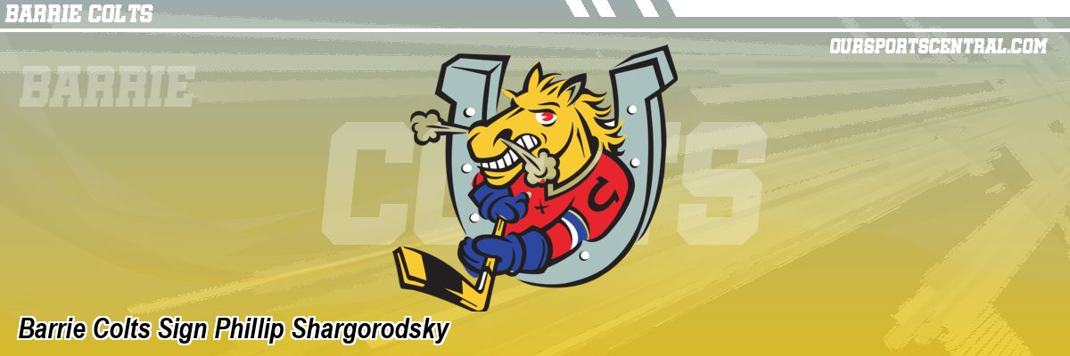 Barrie Colts Sign Phillip Shargorodsky