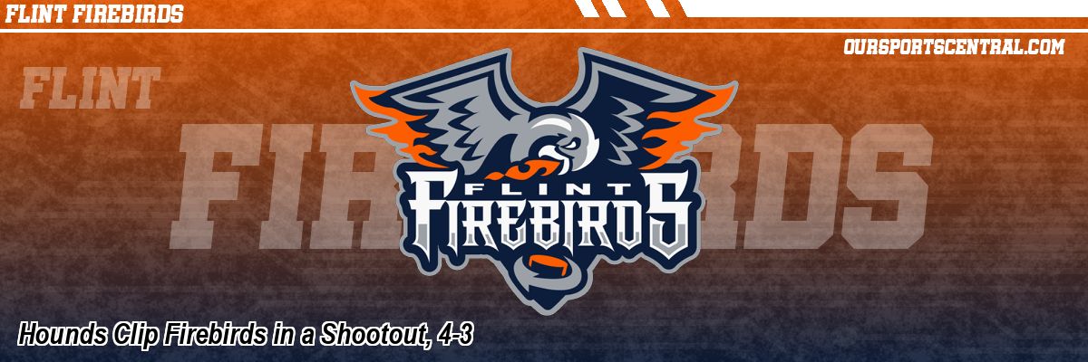 Hounds Clip Firebirds in a Shootout, 4-3