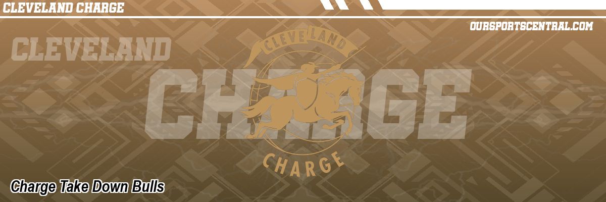 Charge Take Down Bulls