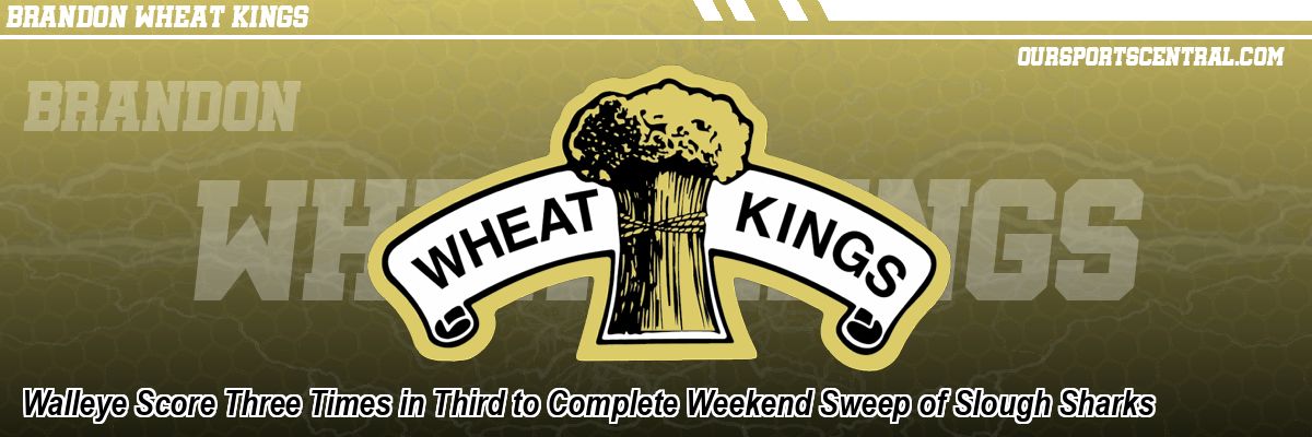 Walleye Score Three Times in Third to Complete Weekend Sweep of Slough Sharks