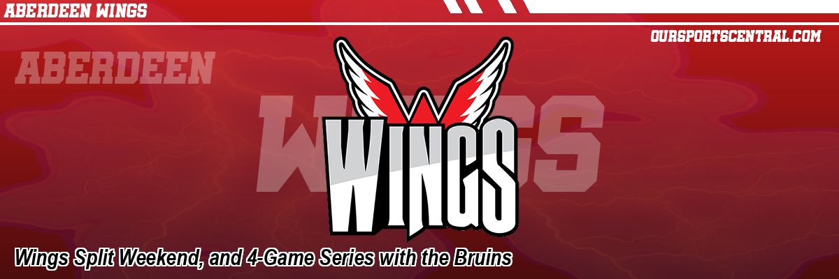 Wings Split Weekend, and 4-Game Series with the Bruins