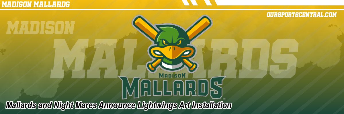 Mallards and Night Mares Announce Lightwings Art Installation