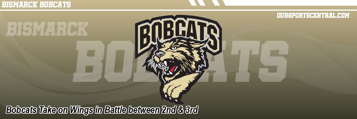 Bobcats Take on Wings in Battle between 2nd & 3rd
