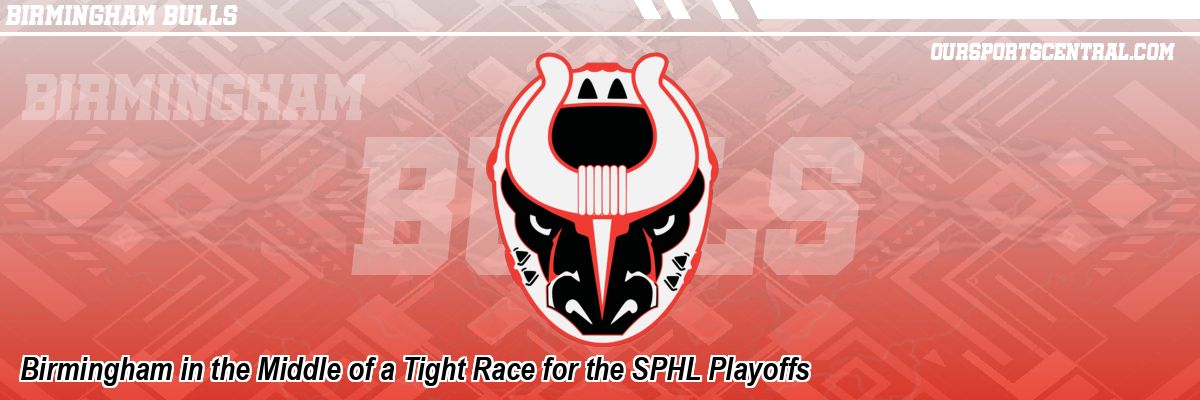 Birmingham in the Middle of a Tight Race for the SPHL Playoffs