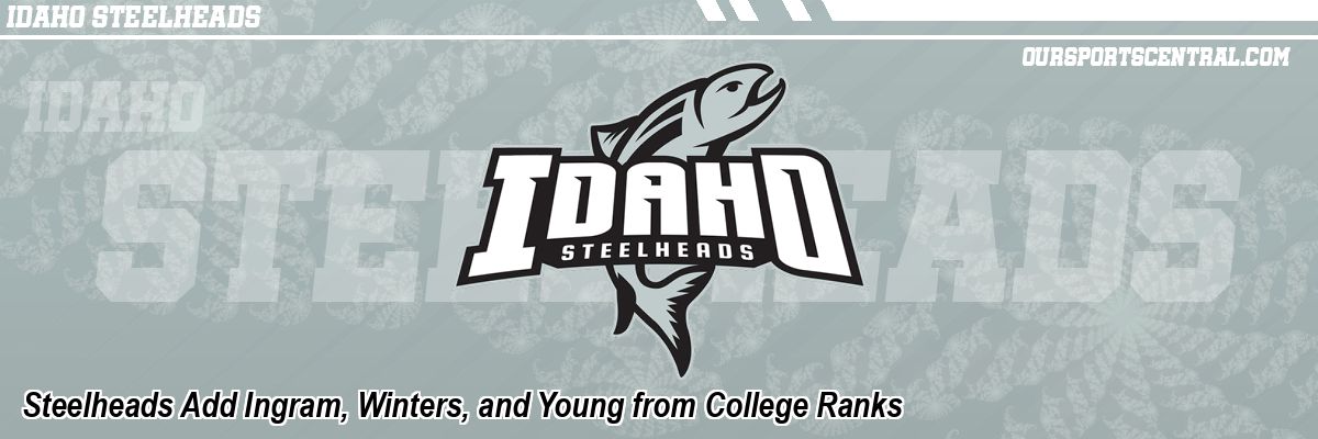 Steelheads Add Ingram, Winters, and Young from College Ranks