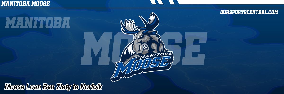 Moose Loan Ben Zloty to Norfolk