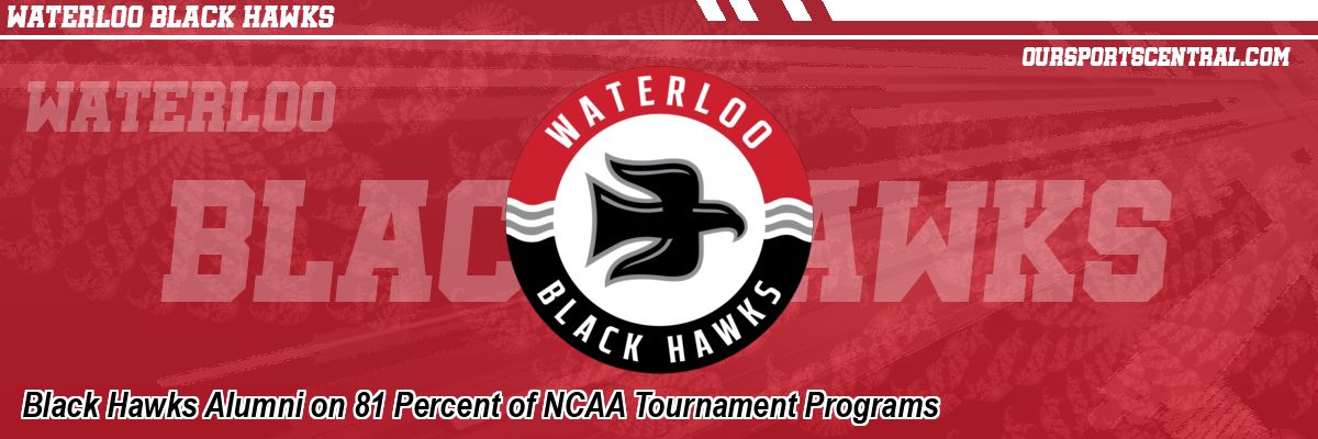 Black Hawks Alumni on 81 Percent of NCAA Tournament Programs
