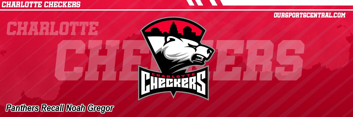 Panthers Recall Noah Gregor