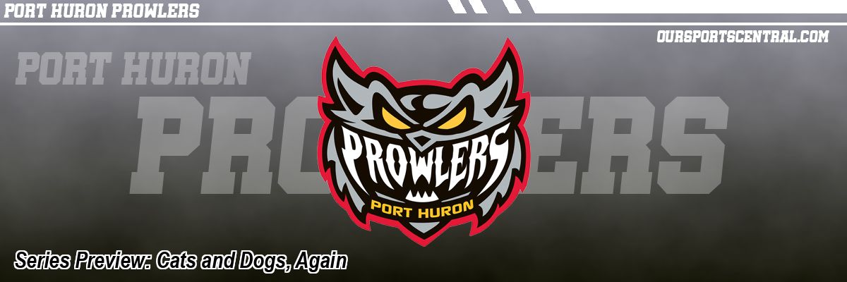 Series Preview: Cats and Dogs, Again