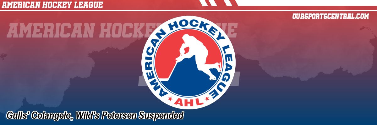 Gulls' Colangelo, Wild's Petersen Suspended