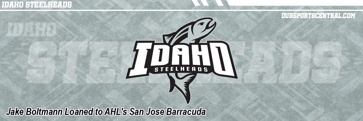 Jake Boltmann Loaned to AHL's San Jose Barracuda