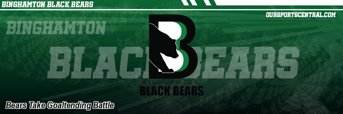 Bears Take Goaltending Battle