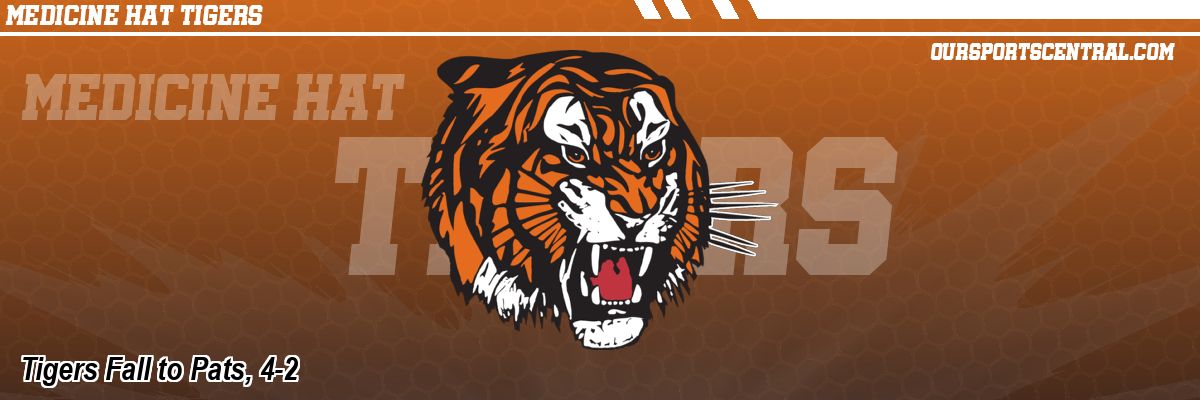 Tigers Fall to Pats, 4-2