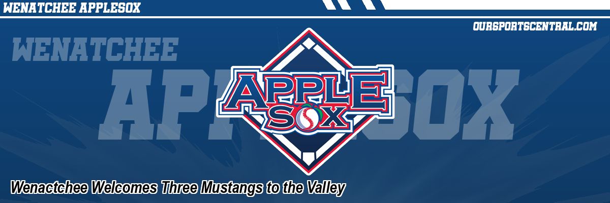 Wenactchee Welcomes Three Mustangs to the Valley