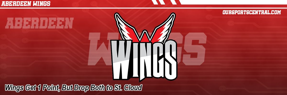 Wings Get 1 Point, But Drop Both to St. Cloud