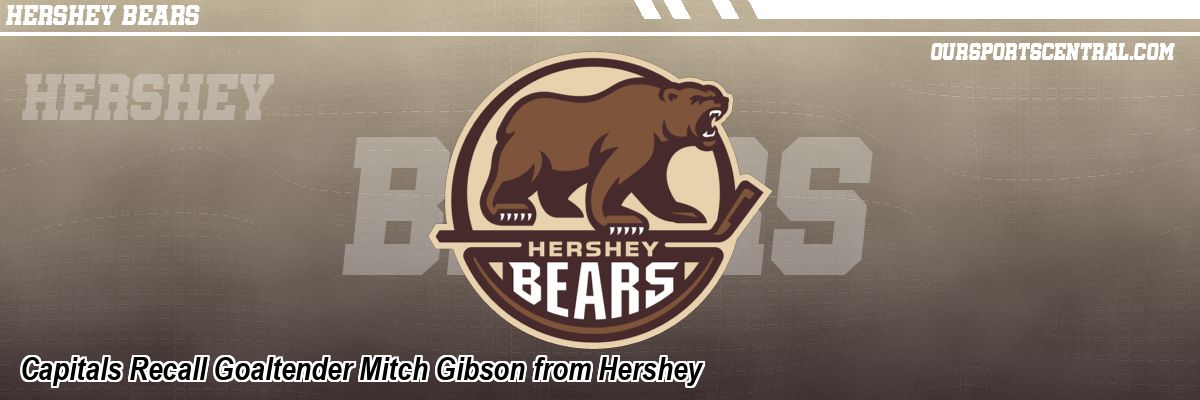 Capitals Recall Goaltender Mitch Gibson from Hershey