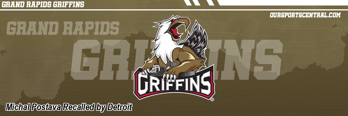 Michal Postava Recalled by Detroit