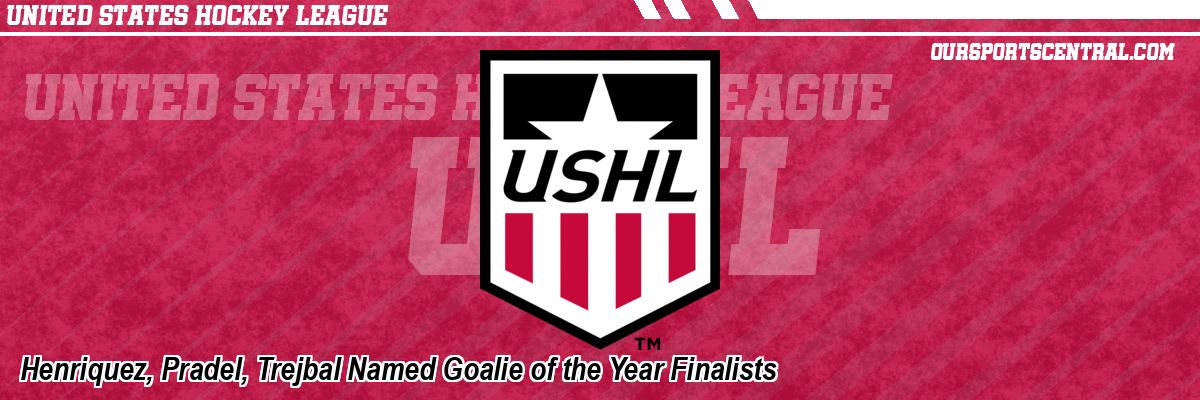 Henriquez, Pradel, Trejbal Named Goalie of the Year Finalists