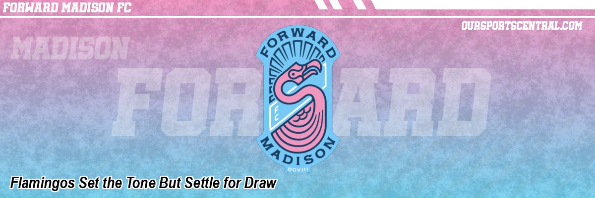 Flamingos Set the Tone But Settle for Draw