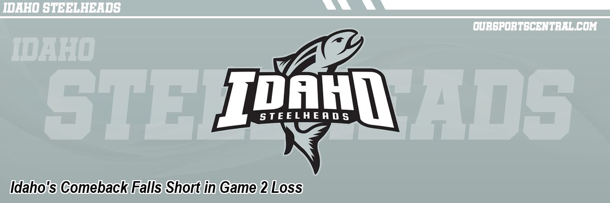 Idaho's Comeback Falls Short in Game 2 Loss