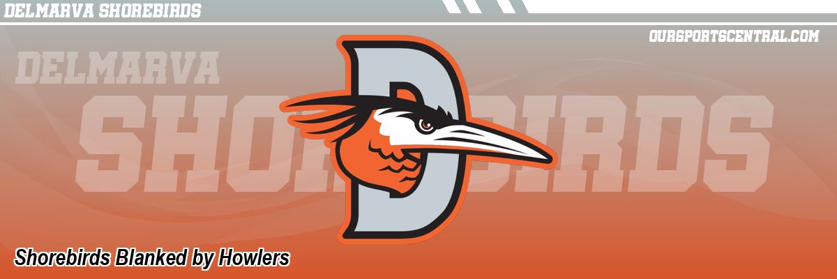 Shorebirds Blanked by Howlers
