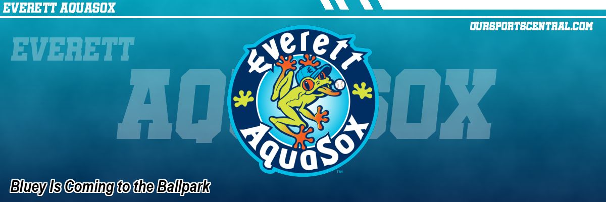 Bluey Is Coming to the Ballpark