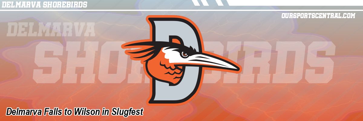 Delmarva Falls to Wilson in Slugfest