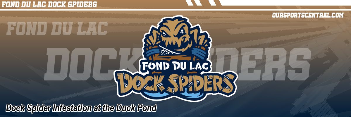Dock Spider Infestation at the Duck Pond