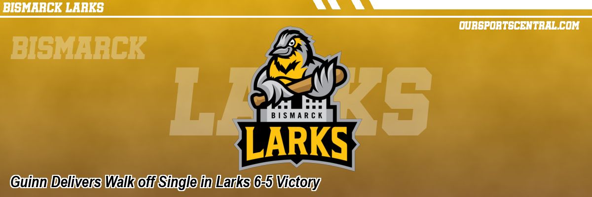 Guinn Delivers Walk off Single in Larks 6-5 Victory
