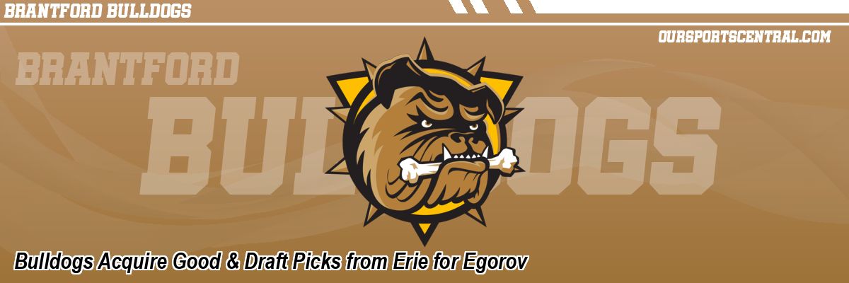 Bulldogs Acquire Good & Draft Picks from Erie for Egorov