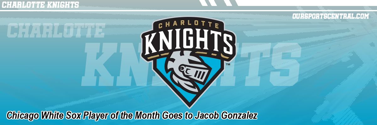 Chicago White Sox Player of the Month Goes to Jacob Gonzalez
