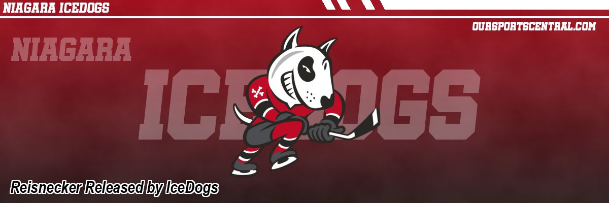 Reisnecker Released by IceDogs
