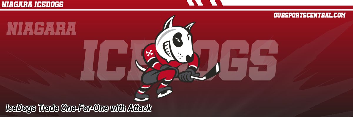 IceDogs Trade One-For-One with Attack