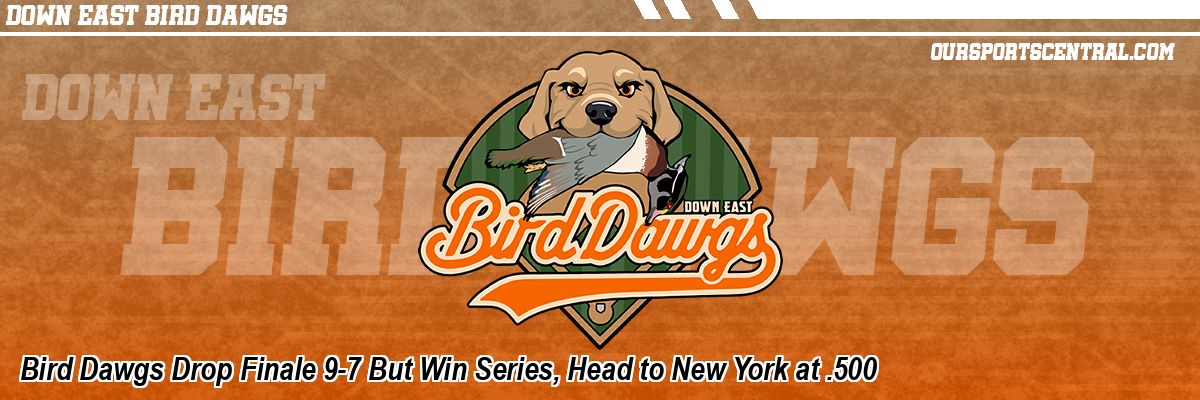 Bird Dawgs Drop Finale 9-7 But Win Series, Head to New York at .500