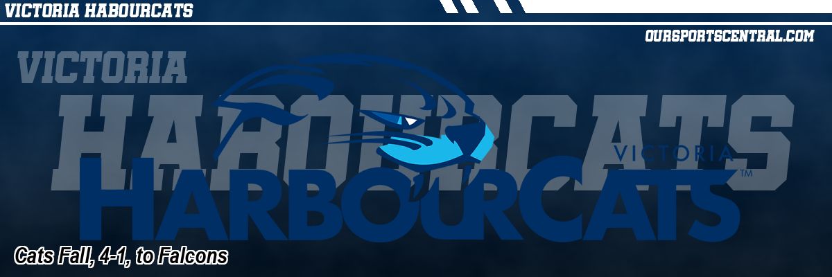 Cats Fall, 4-1, to Falcons