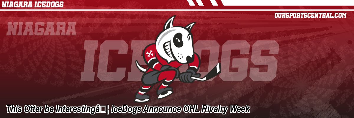 This Otter be Interesting… IceDogs Announce OHL Rivalry Week